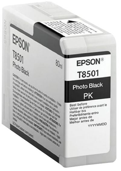 Epson Singlepack Photo Black T850100
