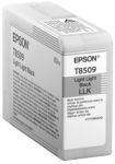 Epson Singlepack Light Light Black T850900 - Image 1