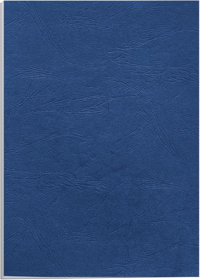 Fellowes Delta A4 Paper Blue 100 pc(s) - Thumbnail 2