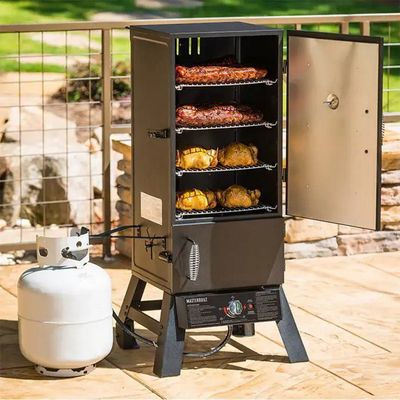 Masterbuilt Pro Series Dual Fuel Gas and Charcoal Smoker