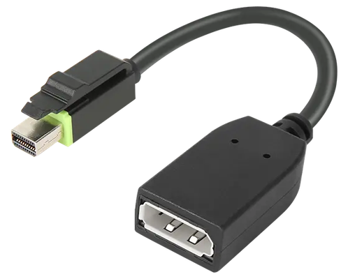 Lenovo 4X90Q93975 video cable adapter Mini DisplayPort DisplayPort Black - Thumbnail 2