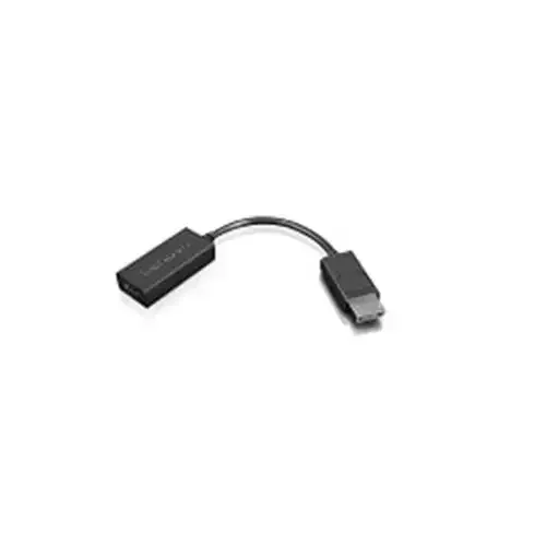 Lenovo 4X90R61023 video cable adapter 0.225 m DisplayPort HDMI Type A (Standard) Black - Image 1