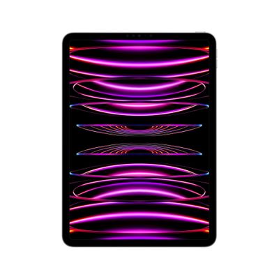 Apple iPad Pro 4th Gen 11in Wi-Fi 2000GB - Space Grey