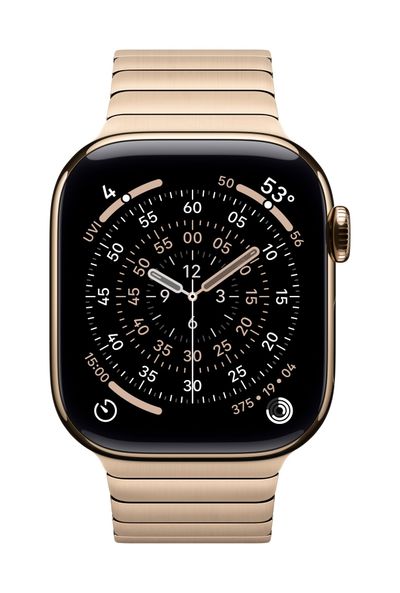 Apple 42mm Gold Link Bracelet