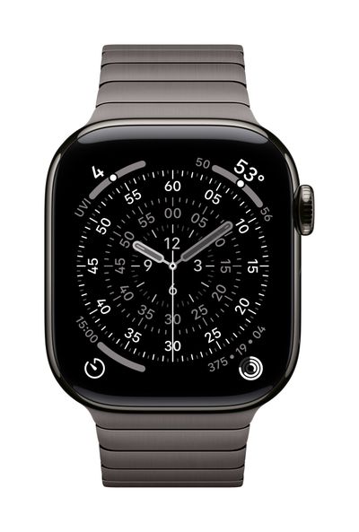 Apple 42mm Slate Link Bracelet