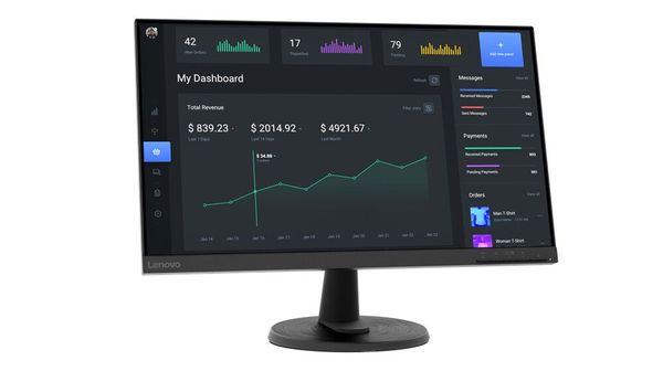 Lenovo C24-40 Monitor