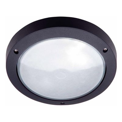 Opus 270mm Wall Bulkhead E27 Screw Garden Opal Lights in Black