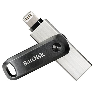 SanDisk SDIX60N-256G-GN6NE USB flash drive 256 GB 3.2 Gen 1 (3.1 Gen 1) Grey Silver