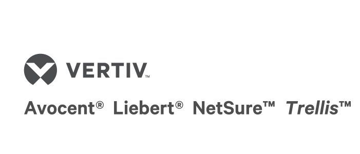 Vertiv Avocent UM KVM MODULE - VGA+SP DUAL RJ45 network transceiver module - Image 1
