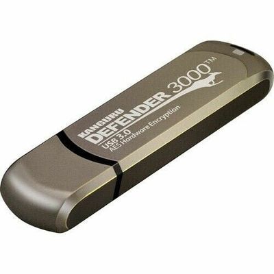 iStorage Kanguru Defender 3000 SuperSpeed USB 3.0 256 GB| Secure Flash Drive | FIPS 140-3 Level 3 pending FIPS 140-2 Level 3 Certified | AES-XTS 256-bit Hardware Encryption | TAA Compliant|
