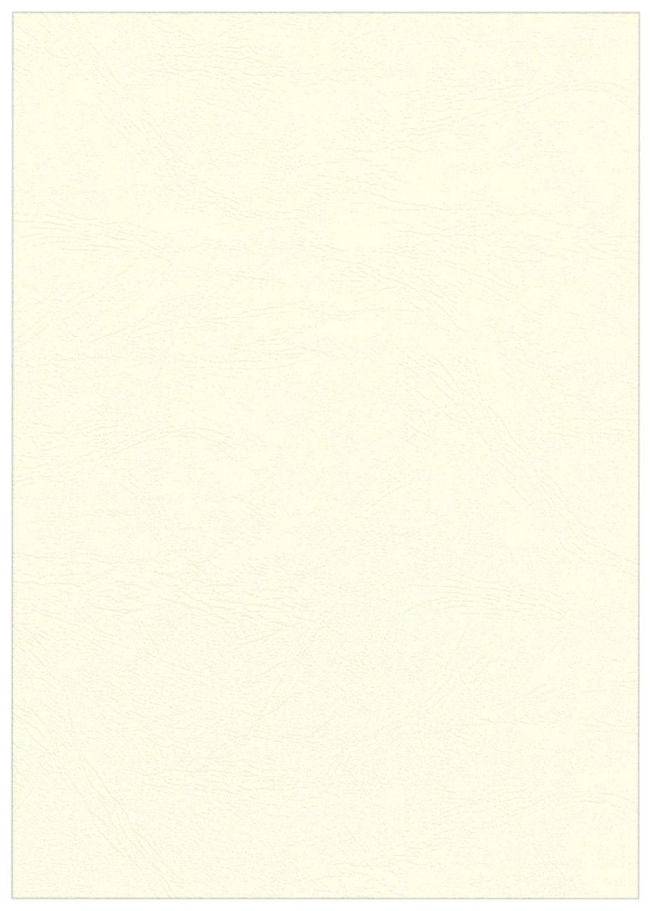 Fellowes 5370004 binding cover A4 Paper Ivory 100 pc(s) - Image 1