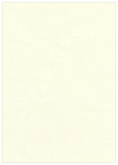 Fellowes 5370004 binding cover A4 Paper Ivory 100 pc(s)