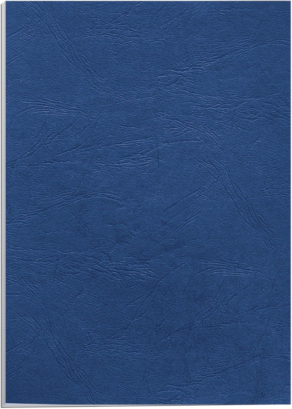Fellowes Delta A4 Paper Blue 100 pc(s) - Image 1