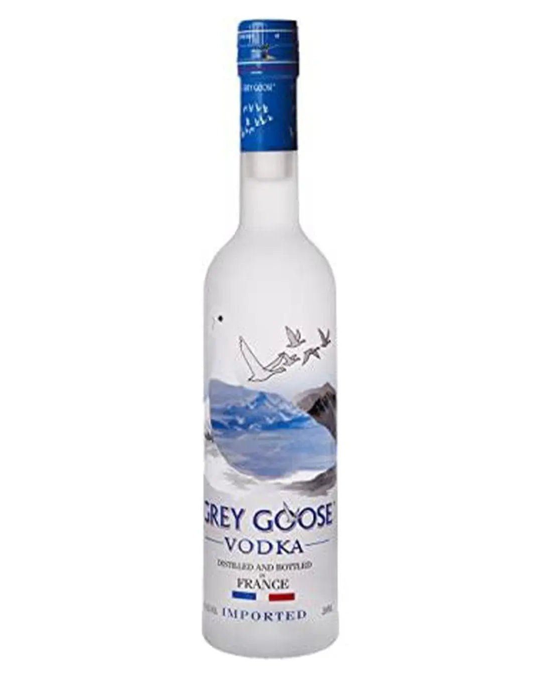 Grey Goose Vodka / Small Bottle - Image 1