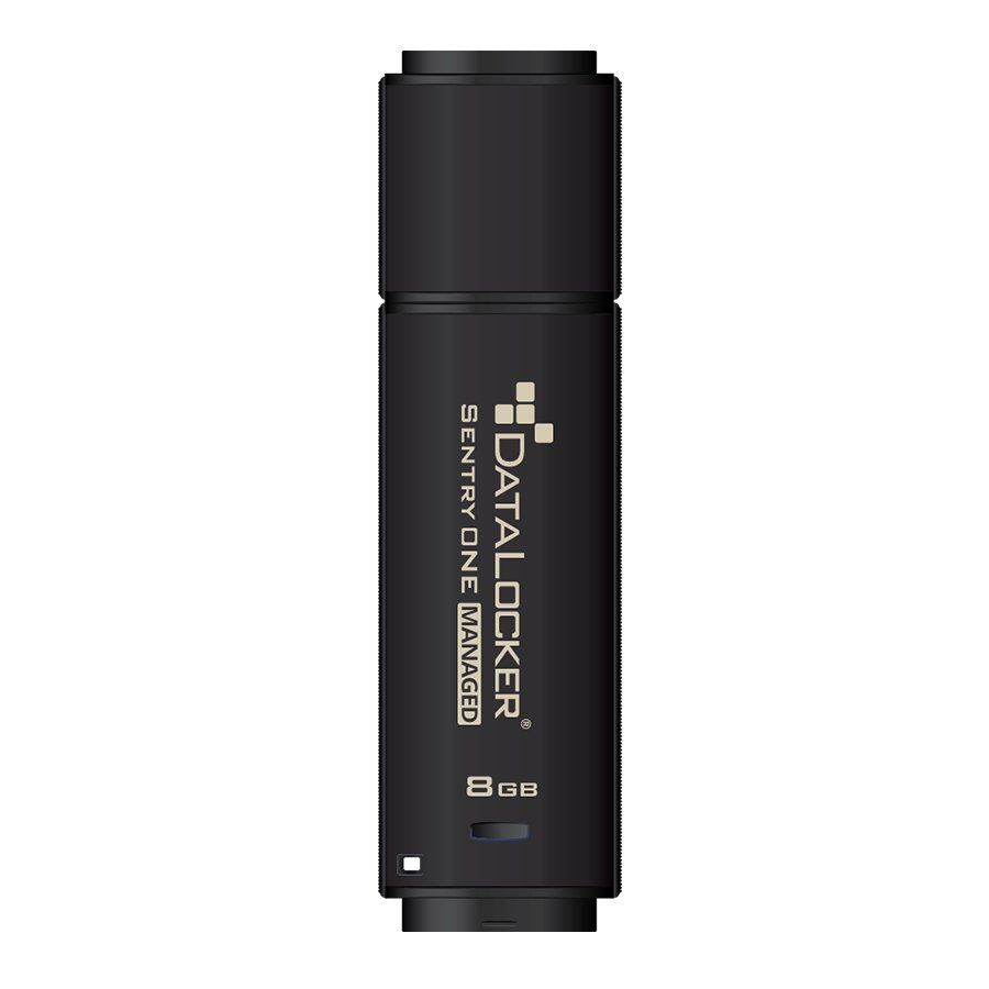 DataLocker Sentry One Managed Encrypted FIPS 140-2 Level 3 32GB Flash Drive - Image 1