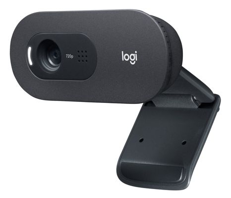 Logitech C505e