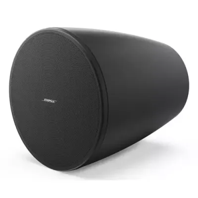 BOSE DesignMax DM6PE Black