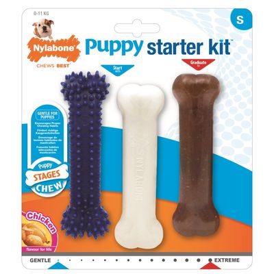 Nylabone Small Breeds Puppy Starter Kit - Thumbnail 2
