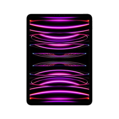Apple iPad Pro 4th Gen 11in Wi-Fi 2000GB - Space Grey