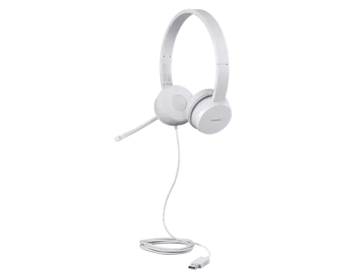 LENOVO 110 Stereo Headset - Cloud Grey, Silver/Grey