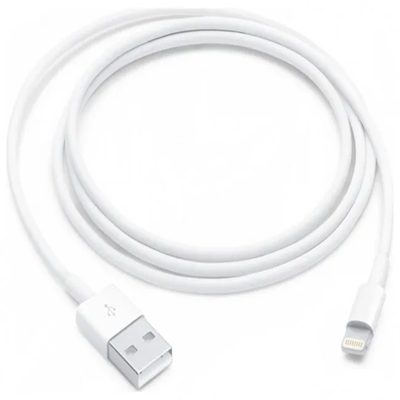 Apple Lightning to USB Cable (1m)