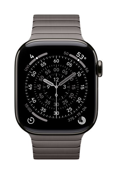 Apple 42mm Slate Link Bracelet