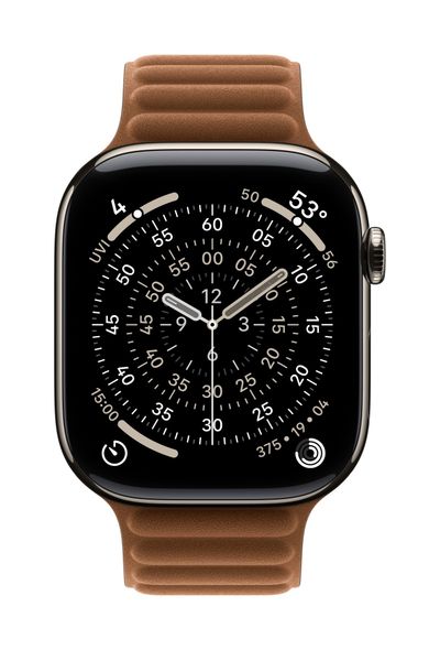 Apple MGDG4ZM/A Smart Wearable Accessories Band Caramel Polyester