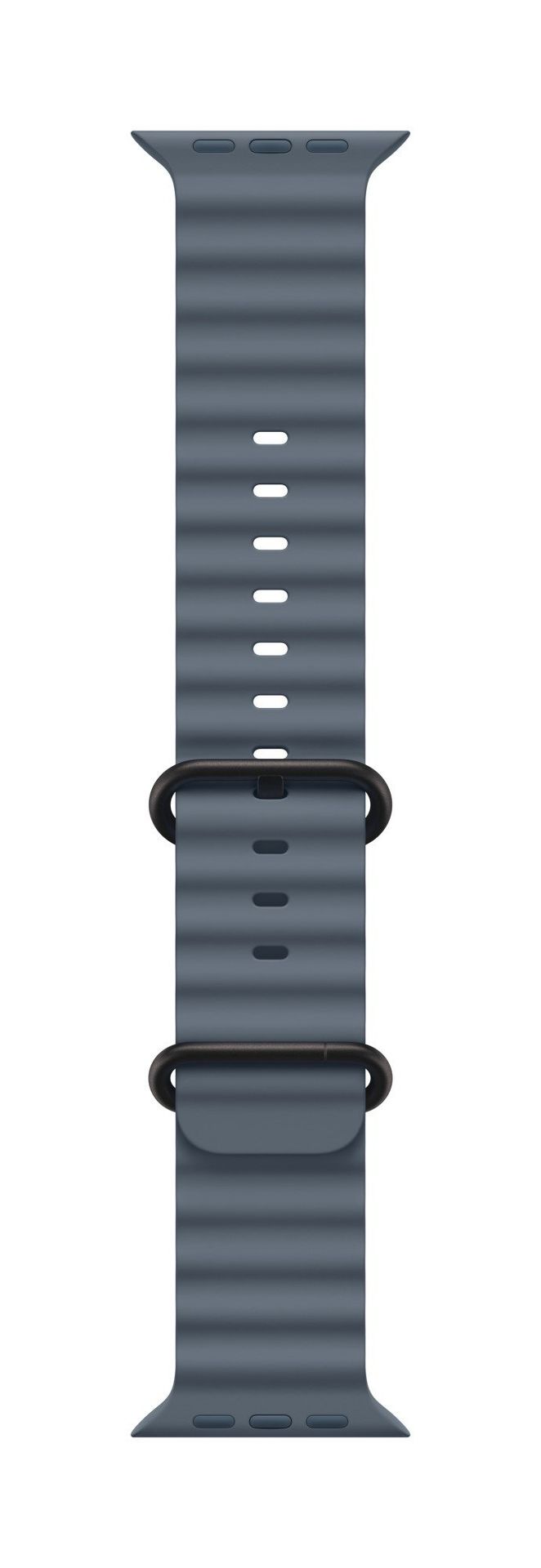 Apple Titanium Finish Band Blue Fluoroelastomer, Titanium - Image 1