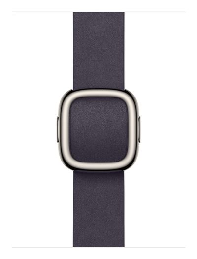 Apple 42mm Midnight Purple Modern Buckle - Large