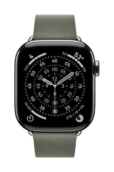 Apple 42mm Sage Grey Modern Buckle - Medium