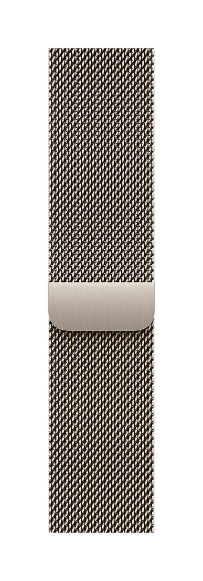 Apple MGHV4ZM/A Smart Wearable Accessories Band Natural Stainless steel - Image 1