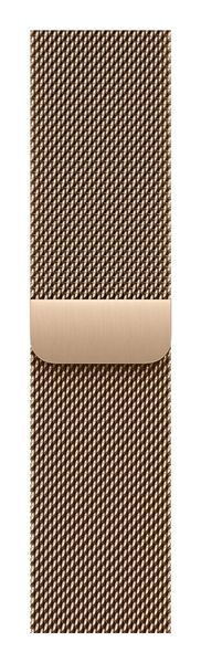 Apple MGJ04ZM/A Smart Wearable Accessories Band Gold Stainless steel