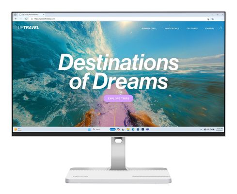 LENOVO L24D-4C Full HD 23.8" IPS Monitor - Grey, Silver/Grey