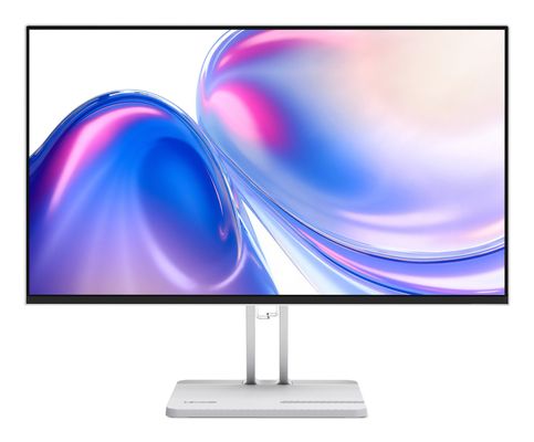 LENOVO L24-4C Full HD 23.8" IPS WLED Monitor - Grey, Silver/Grey