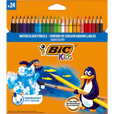 Pack of 24 BIC Coloured Pencils