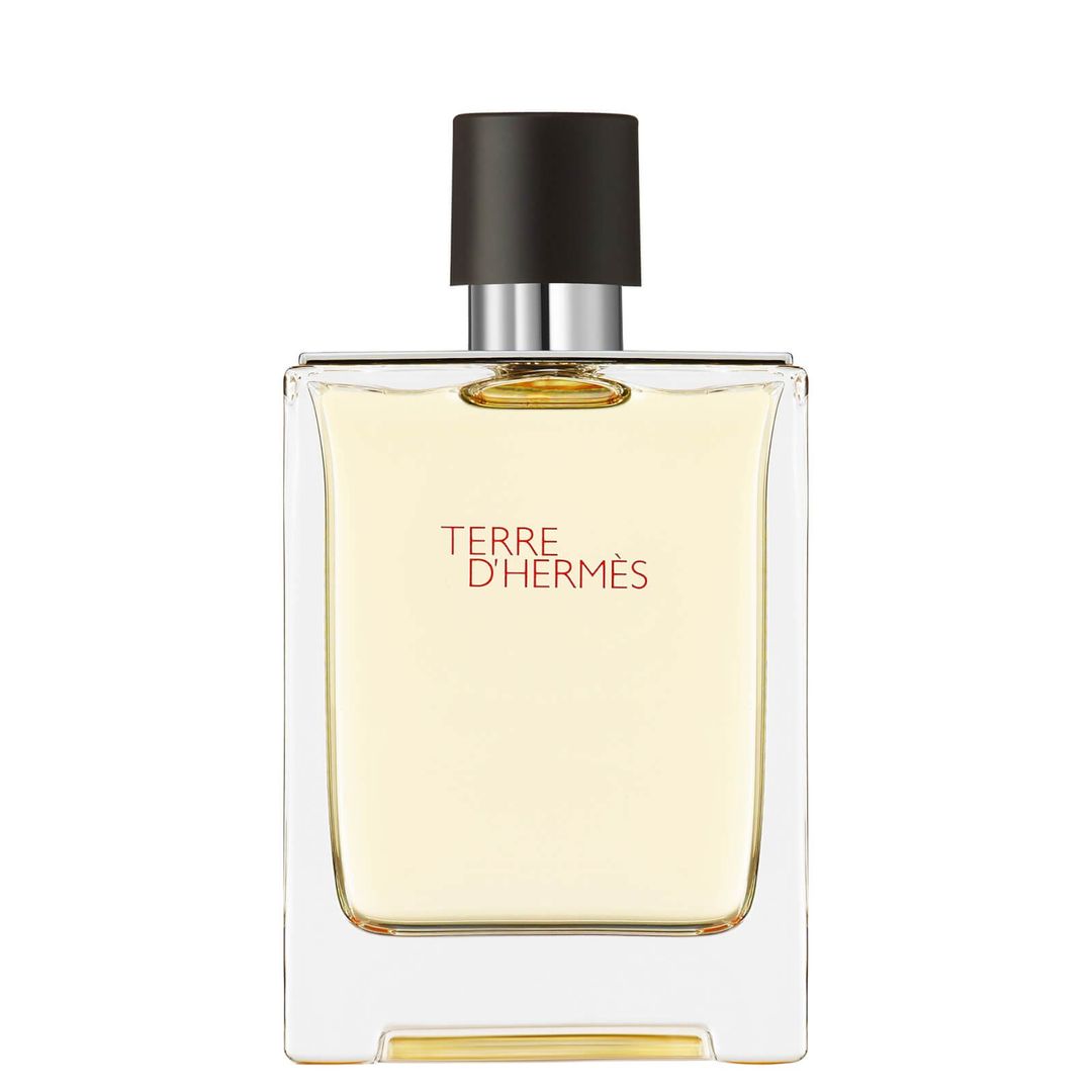 Hermès Terre d'Hermès Eau de Toilette 100ml - Image 1