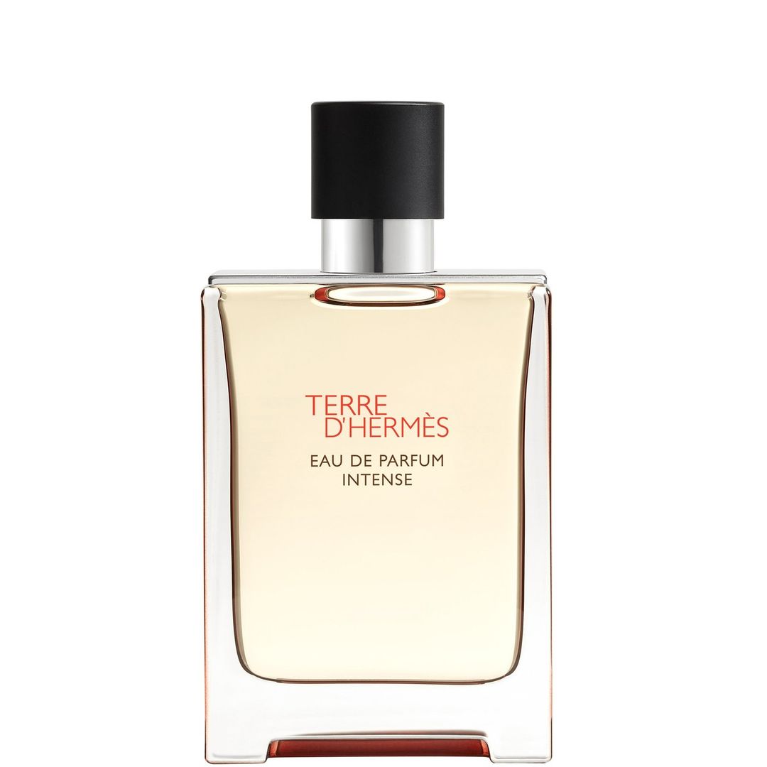 Hermès Terre d'Hermès Eau de Parfum Intense 100ml - Image 1