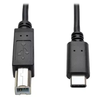 Tripp Lite U040-006 USB-C to USB-B Cable - USB 2.0. (M/M). 6 ft. (1.83 - Thumbnail 2