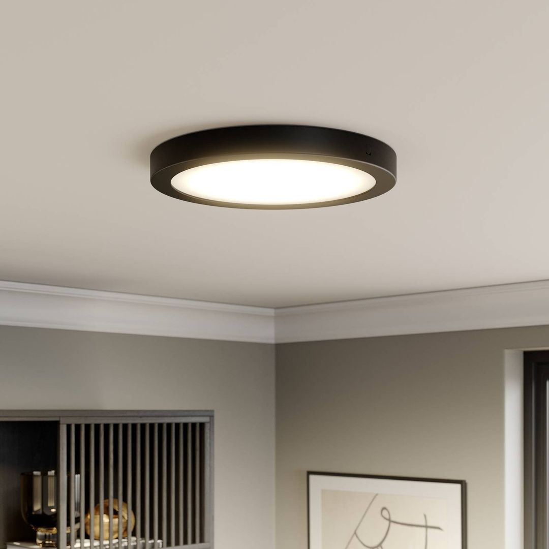 PAULMANN Abia Round LED Ceiling Lamp - Black - Image 1