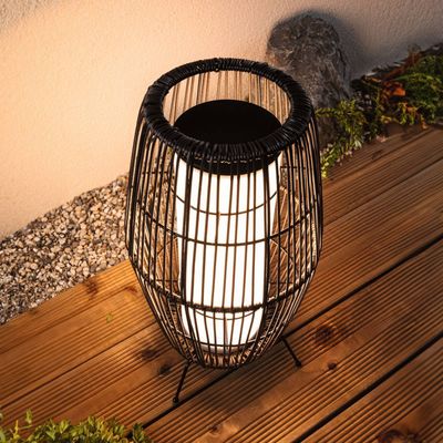 PAULMANN Plug & Shine LED Garden Outdoor Light
