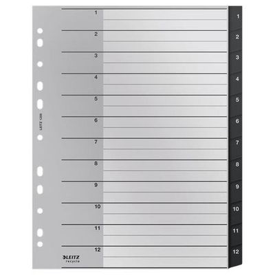 Leitz Recycle Index. PP. extra wide