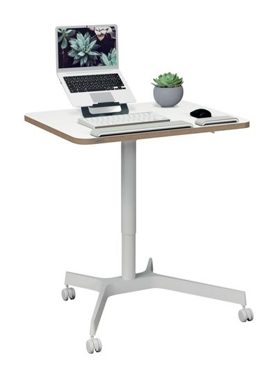 LEITZ Ergo Small Sit Standing Desk - White