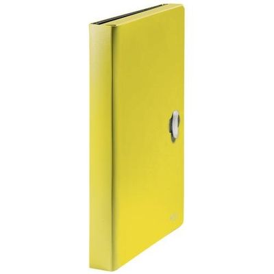 Leitz Recycle Expanding Concertina File
