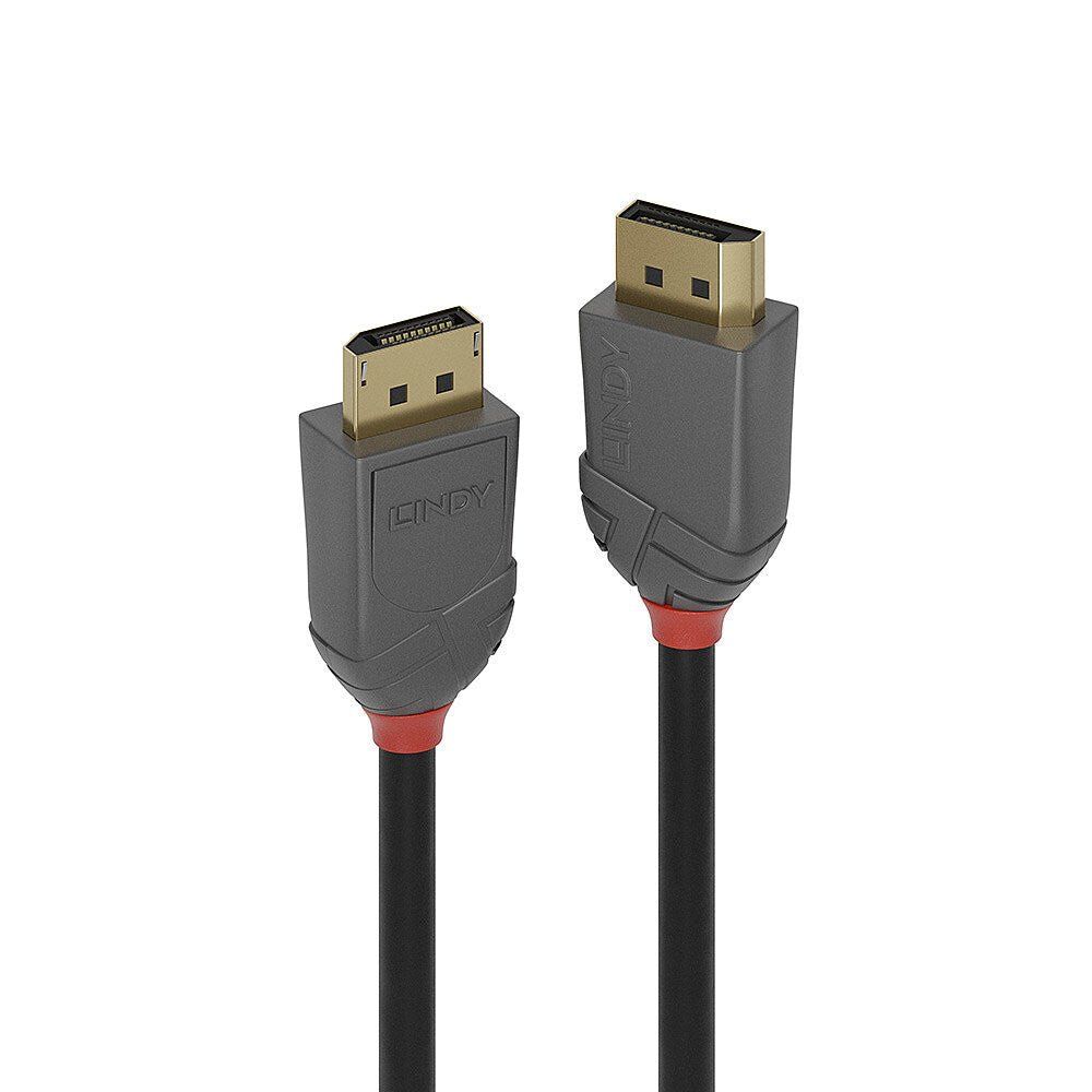Lindy 10m DisplayPort 1.2 Cable. Anthra Line - Image 1