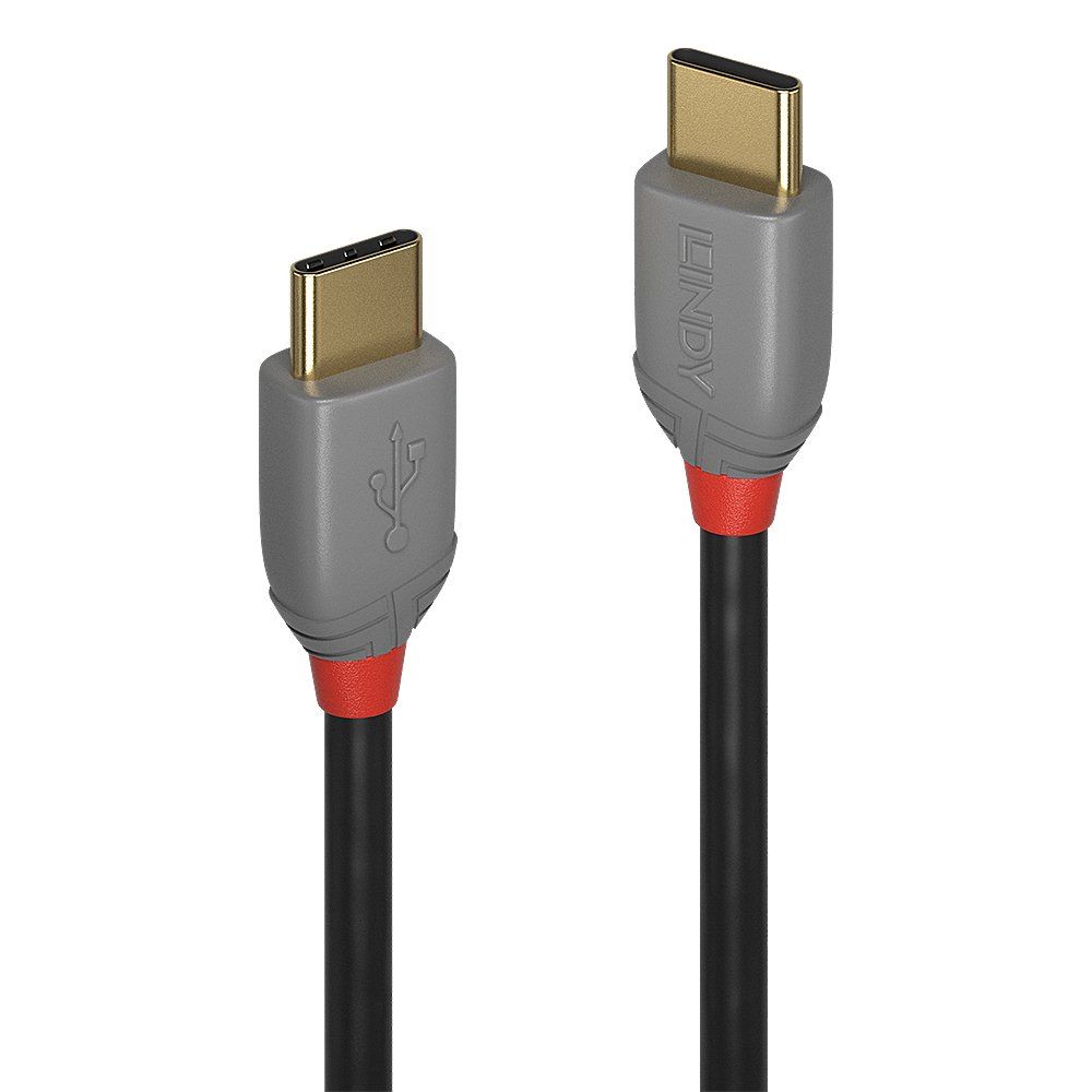Lindy 3m USB 2.0 Type C to C Cable, Anthra Line - Image 1