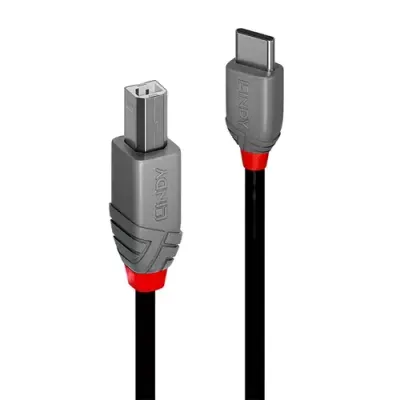 Lindy 0.5m USB 2.0 Type C to B Cable, Anthra Line - Thumbnail 2