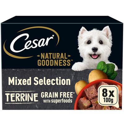 Cesar Natural Goodness Wet Dog Food in Terrine