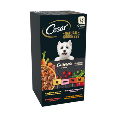 Cesar Natural Goodness Wet Dog Food in Sauce - Thumbnail 2