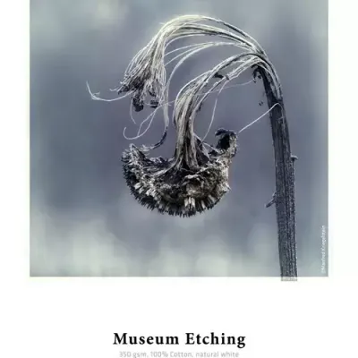 Hahnemhle Museum Etching Art paper 25 sheets