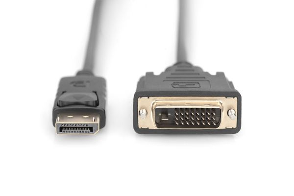 Digitus DisplayPort Adapter Cable. DP to DVI-D